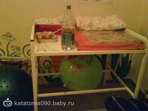 Рождение моей лисы Алисы (09.02.2011) ОЧЕНЬ МНОГО БУКВ+ ФОТО!