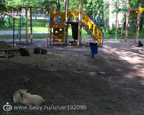 Детская площадка под охраной )))