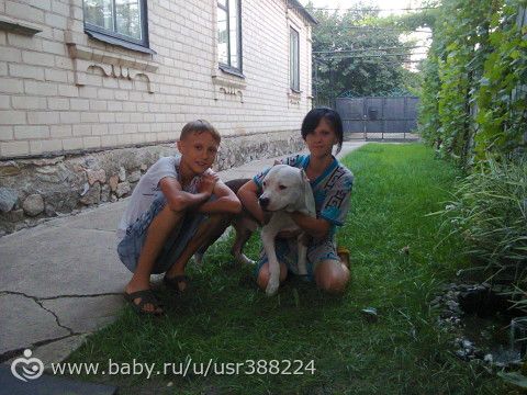 Сухонос Даниил 12 лет, срочный сбор на операцию! Сбор до 4 февраля 2015 г