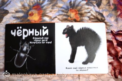 Наши любимые книги. Советую! И что умеет мой малыш 1г и 4 мес.