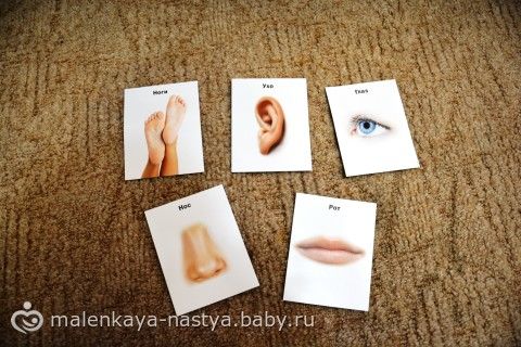 Наши любимые книги. Советую! И что умеет мой малыш 1г и 4 мес.