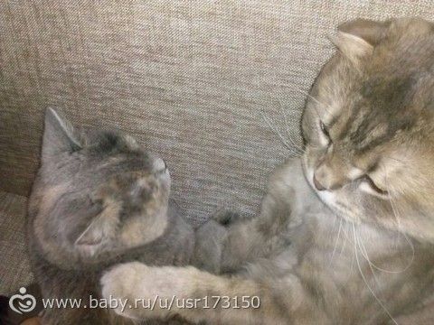 Внезапная радость))та и вообще обо всём))