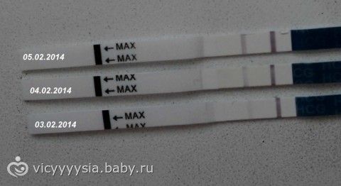 фото тесты на беременность на ранних сроках онлайн фото тесты на беременность на ранних сроках