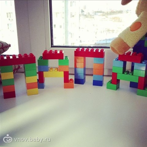 Занятия с детьми 1-3 лет. Игрушки