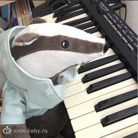 Занятия с детьми 1-3 лет. Игрушки