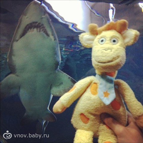 Занятия с детьми 1-3 лет. Игрушки