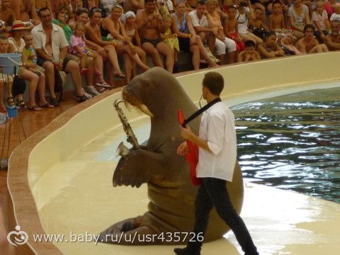 Турция 2012 (воспоминания)
