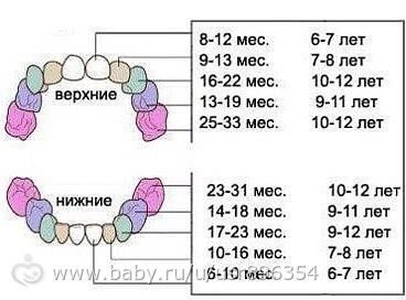 зубки не по графику