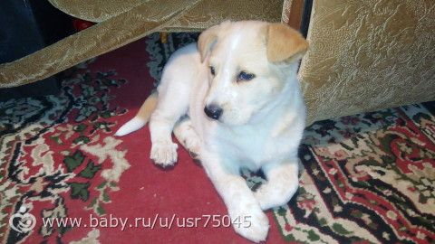 а вот и мы (фотки и много слов))