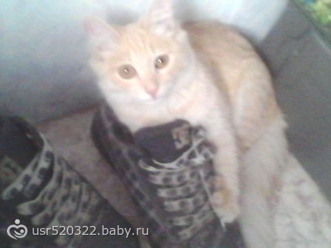 У нас в доме пополнение!!!
