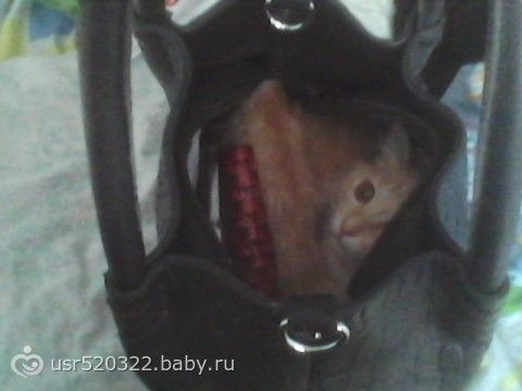 У нас в доме пополнение!!!