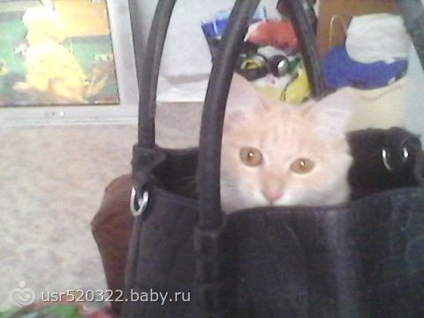 У нас в доме пополнение!!!