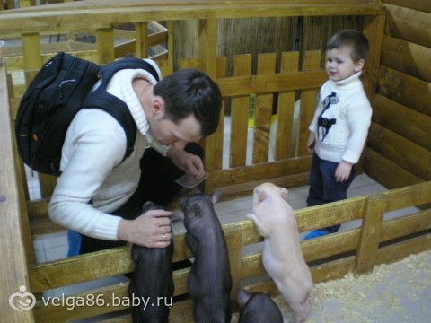 Трогательный зоопарк