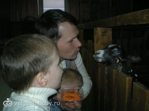 Трогательный зоопарк