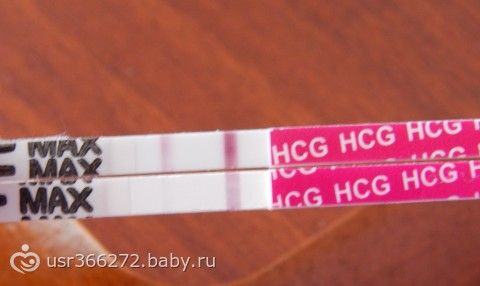 Утренний тест)