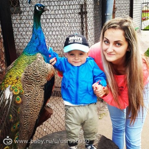 Поездка на страусиное ранчо