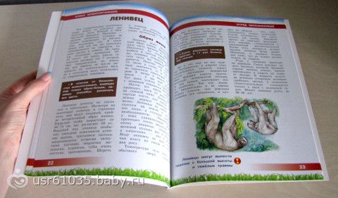 Обновление библиотеки - отличные книги и бюджетно!