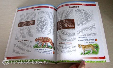 Обновление библиотеки - отличные книги и бюджетно!