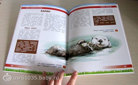Обновление библиотеки - отличные книги и бюджетно!
