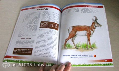 Обновление библиотеки - отличные книги и бюджетно!