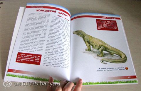 Обновление библиотеки - отличные книги и бюджетно!