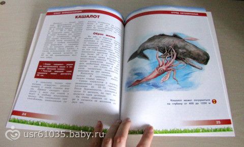 Обновление библиотеки - отличные книги и бюджетно!