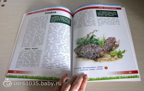 Обновление библиотеки - отличные книги и бюджетно!