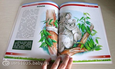 Обновление библиотеки - отличные книги и бюджетно!