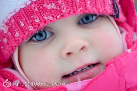 Серёнечка и Милашка