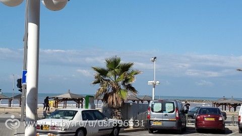 Израиль в ноябре. Фото
