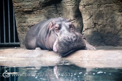 Наши выходные в Праге. Много ФОТО!