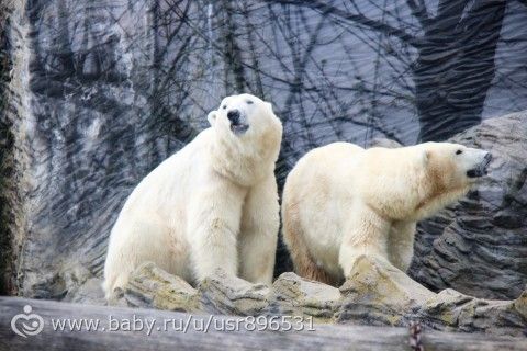 Наши выходные в Праге. Много ФОТО!