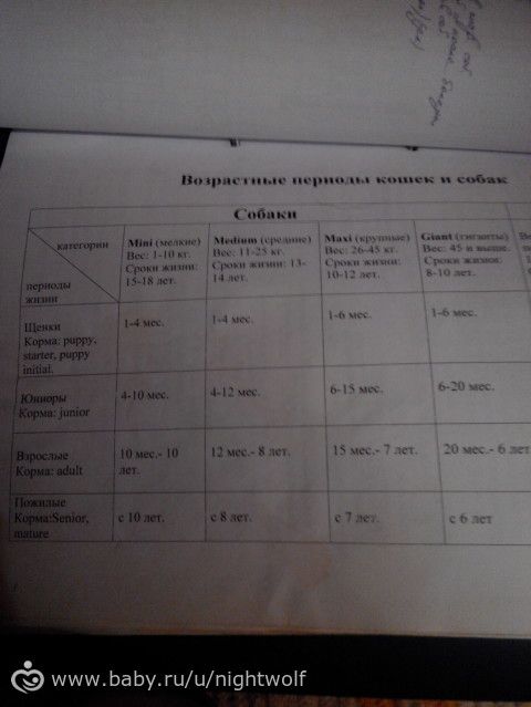 Для владельцев собак. Про корма